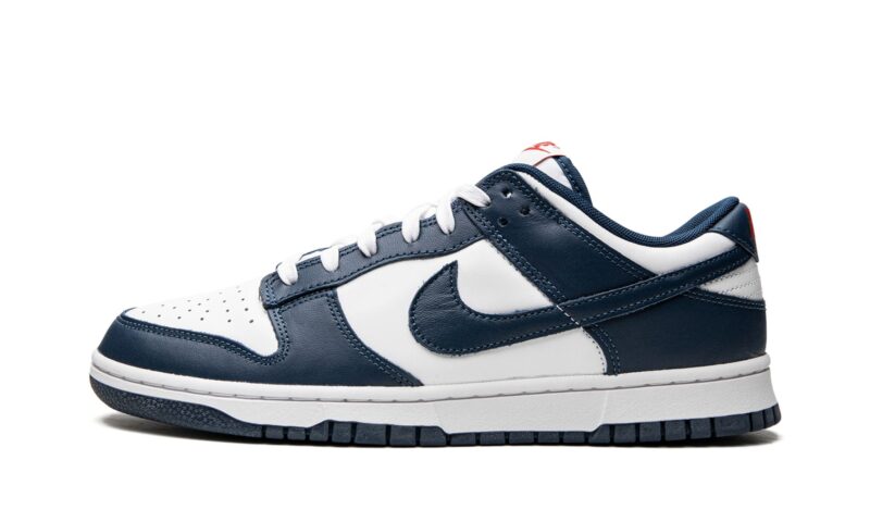 Dunk Low "Valerian Blue" - Image 4